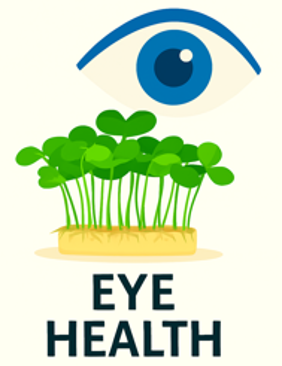 Eye Health
